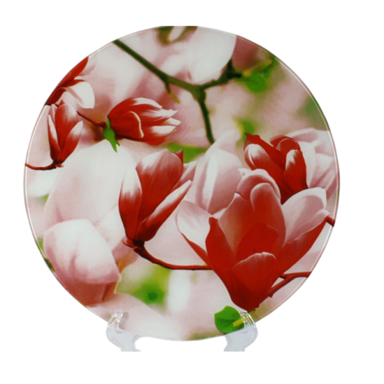 S3012/ Q005 Блюдо скл. КРУГЛІ d.30 Магнолія