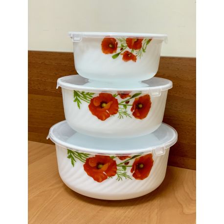 6777 HDW-3B Набір 3-пр салатників (14*16*19) із кришкою склокерам. Мак HDW-3B