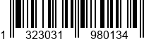 132303198013