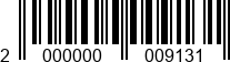 2000000009131