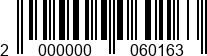 2000000060163