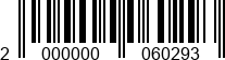2000000060293