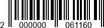 2000000061160