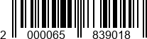 2000065839018