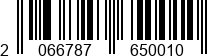2066787650010