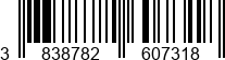 3838782607318