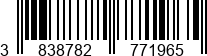 3838782771965