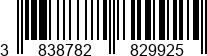 3838782829925