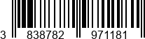 3838782971181