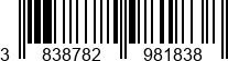 3838782981838