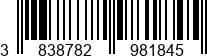 3838782981845