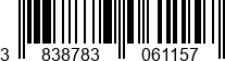3838783061157