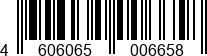 460606500665