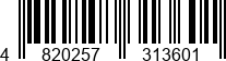 4820257313601