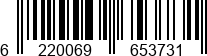 6220069653731