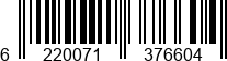 6220071376604