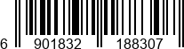 6901832188307