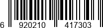 6920210417303