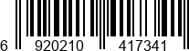 6920210417341