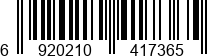 6920210417365