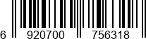 6920700756318