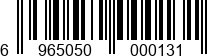 6965050000131