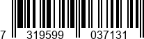 7319599037131