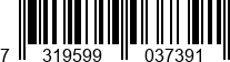 7319599037391