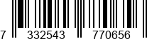 7332543770656