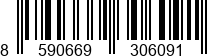 8590669306091