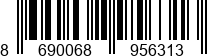 8690068956313
