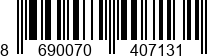 8690070407131